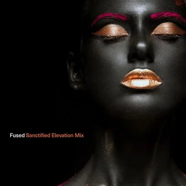 Sanctified (Elevation mix) by Fused - album cover