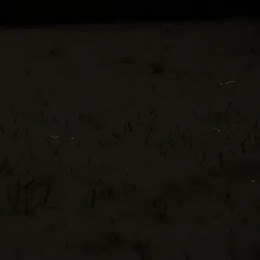 how the end always is