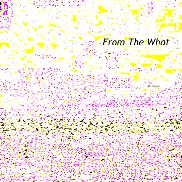 From the What by Mr. Smolin - album cover