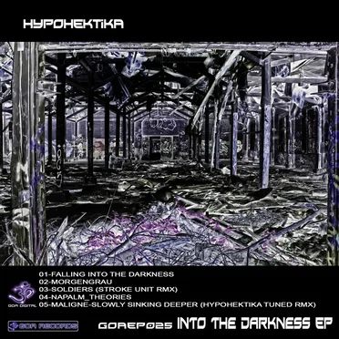 Into The Darkness EP by Hypohektika - album cover