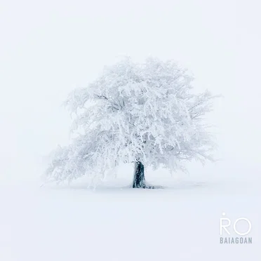 Baiagoan by ṘO - album cover