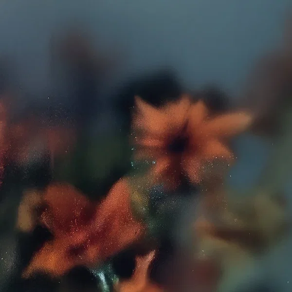Soft Wish