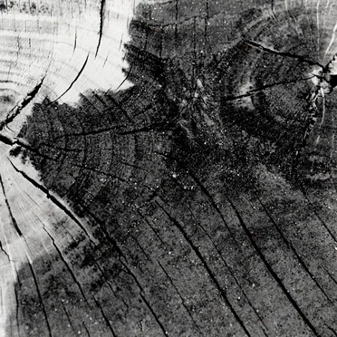 Live at Selesianské Theater Divadlo, Prague Tsjech Republic May 15th 2003