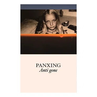 Anti gone by Panxing - album cover