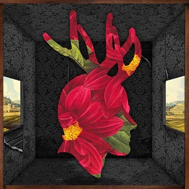 Adult Swim Singles Program 2012 by Various Artists - album cover