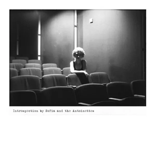 INTROSPECTION