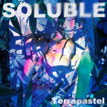 Soluble by Terrapastel - album cover