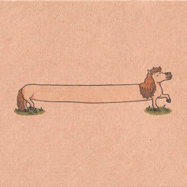 The Longest Pony