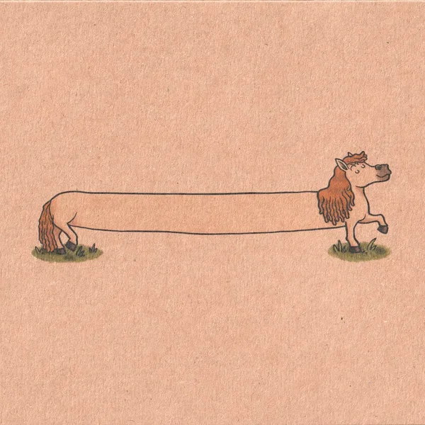 The Longest Pony