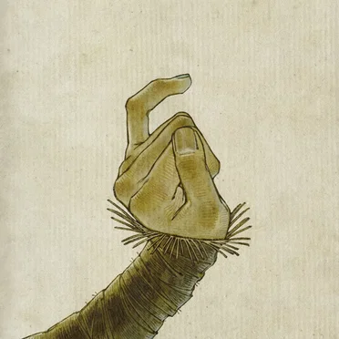 Cole's Response by Yaelokre - album cover