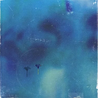The Wild Iris Plain by TS Bright - album cover