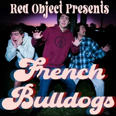 French Bulldogs