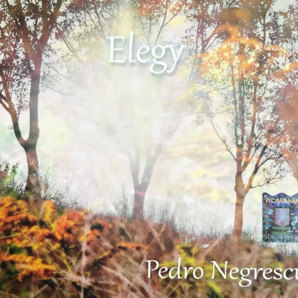 Elegy