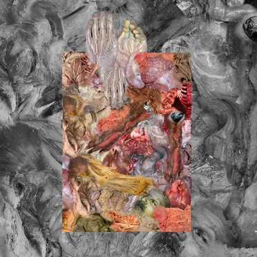 The Stench of Organs and Purulence Rapidly Decomposing