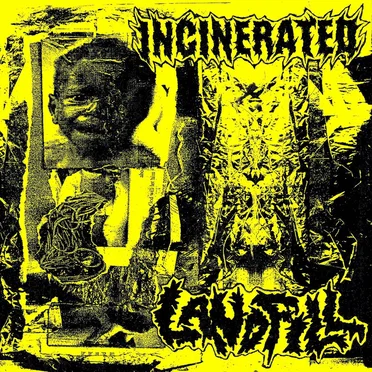 Incinerated / Landfill