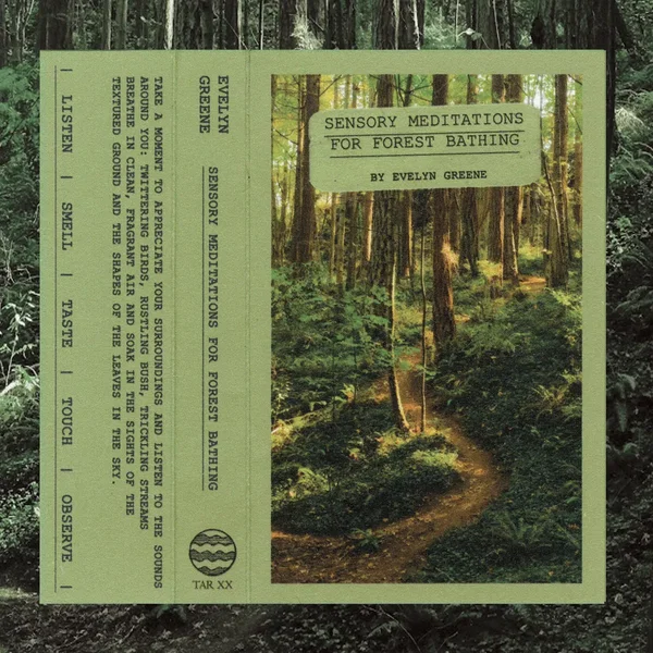 Sensory Meditations for Forest Bathing