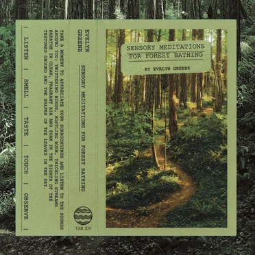 Sensory Meditations for Forest Bathing