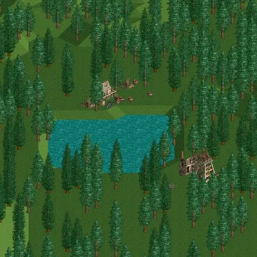 Forest Frontiers