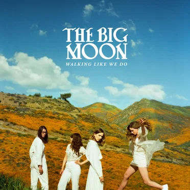Walking Like We Do by The Big Moon - album cover