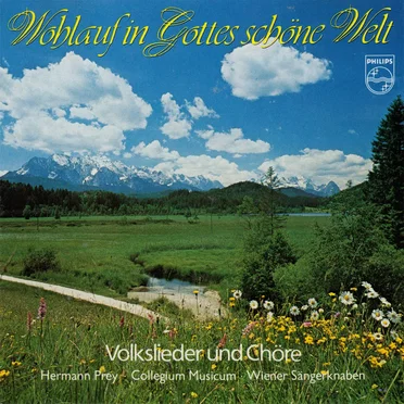 Wohlauf in Gottes schöne Welt by Various Artists - album cover