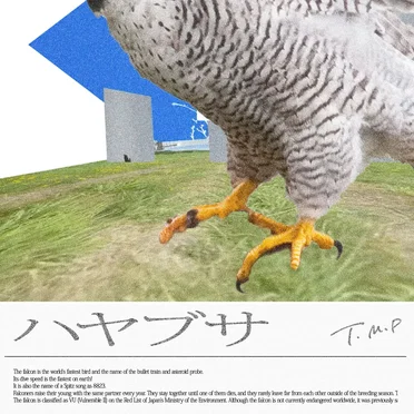 ハヤブサ