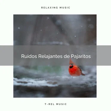 1 Ruidos Relajantes de Pajaritos