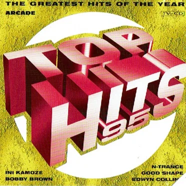 Top Hits 95 (The Greatest Hits of the Year) by Various Artists - album cover