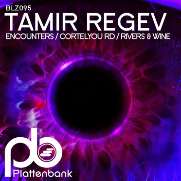 Tamir Regev