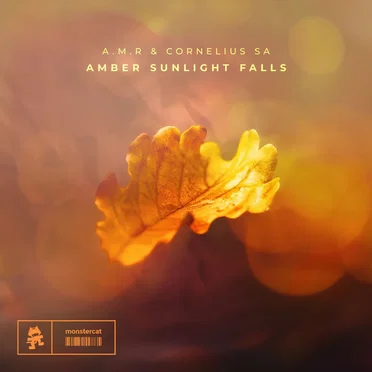 Amber Sunlight Falls