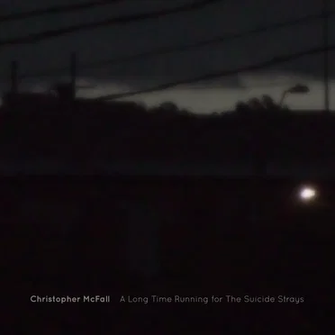 A Long Time Running for the Suicide Strays