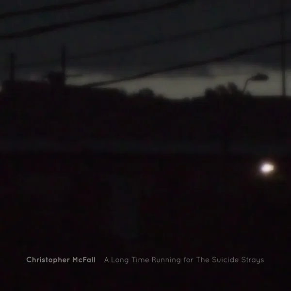 A Long Time Running for the Suicide Strays