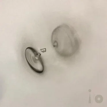 Four Kinds of Horses (Bright‐Side mix)