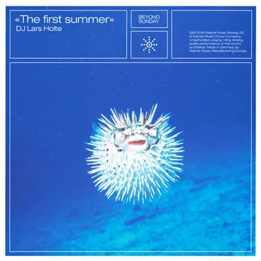 The First Summer by Various Artists - album cover