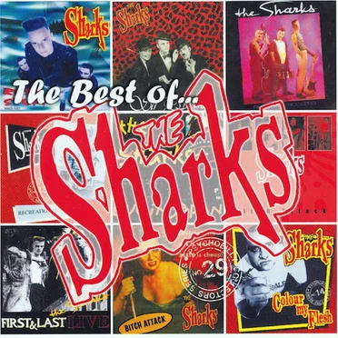 The Best of the Sharks