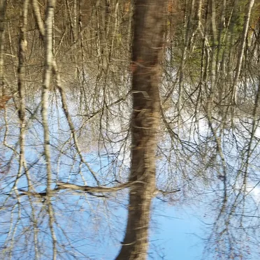 For_