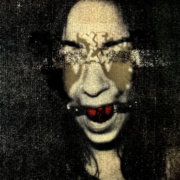 The Fucking Classic by Vixen Maw - album cover