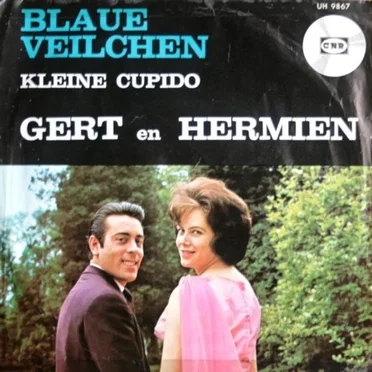Blaue Veilchen