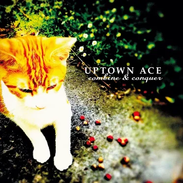 Combine & Conquer by Uptown Ace - album cover