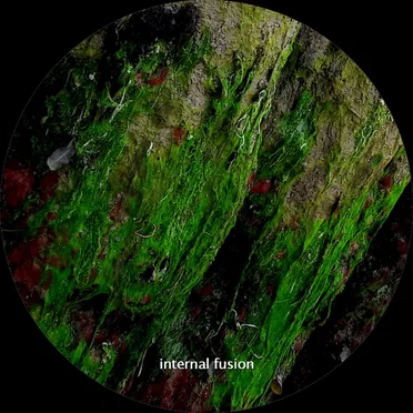 Waïssad by Internal Fusion - album cover