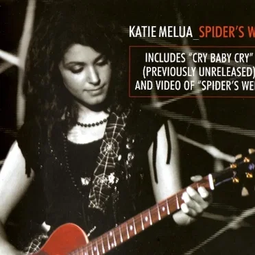 Spider’s Web