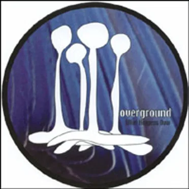 What Happens Now by Overground - album cover