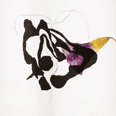Vies sylvestres by Roxane Métayer - album cover