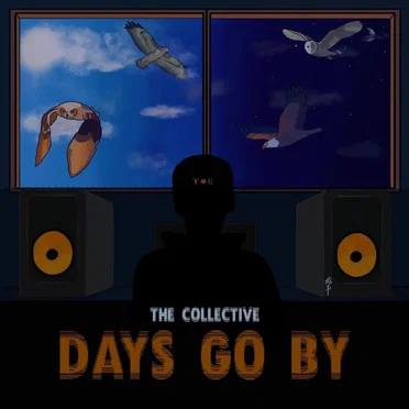 Days Go By