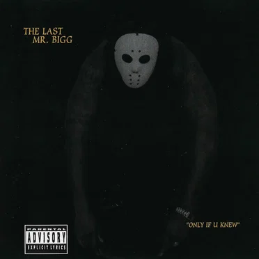 Only If U Knew by The Last Mr. Bigg - album cover