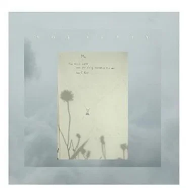 A Bird Calls and Its Song Awakens the Air, and I Call