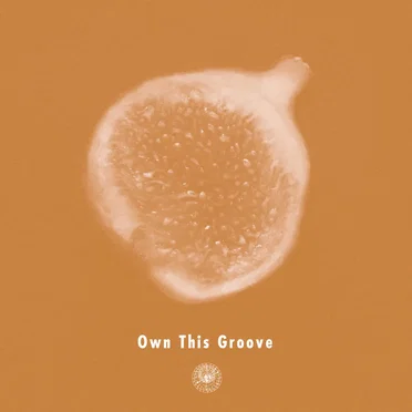 Own This Groove