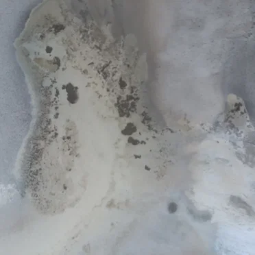 Live at Surrealist Sands