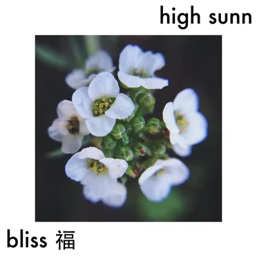 bliss 福