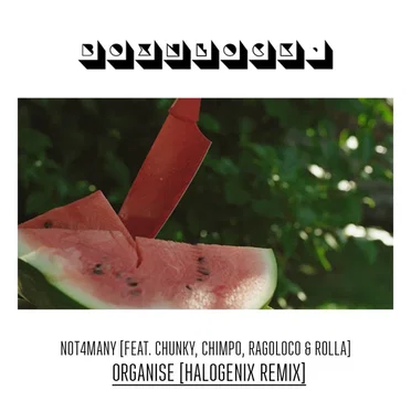 Organise (Halogenix remix)