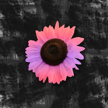Ostara by Origami Phase - album cover
